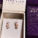 Vermilion Dewdrop Earrings